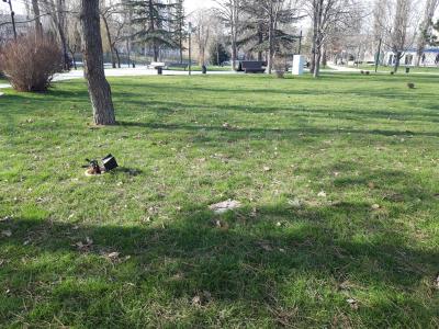 Прикрепленное изображение: прож1.jpg